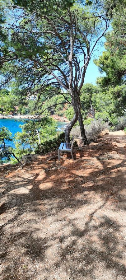 Studio Vue Mer Apartment Bandol Bagian luar foto